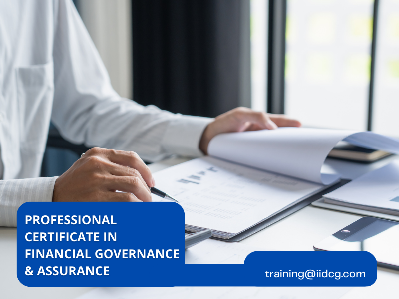 Audit & Financial Oversight